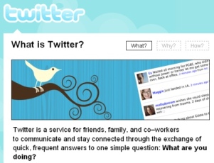 twitter-8989 Кто такой Twitter, его особенности, функциональность. Зачем нужен Twitter .com и как им пользоваться
