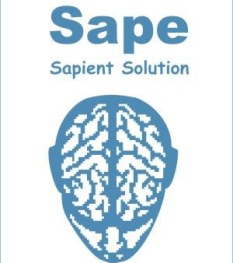 f_4a6ea556d1bb0 Заработок SAPE – сколько можно заработать на SAPE и как выжать максимум из работы с SAPE