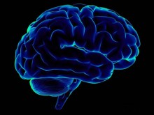 1316456264_1315763030_ultraviolet_brain-220x165 Как увеличить объем памяти в голове?